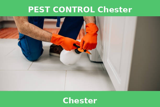 PEST CONTROL Chester